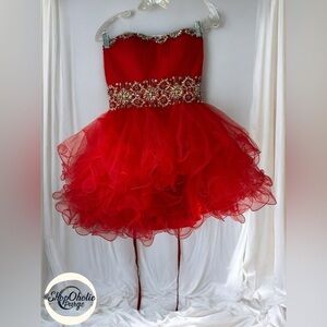 Red Beaded Strapless Tulle Prom Party Dress Size M Homecoming dress Short Dress